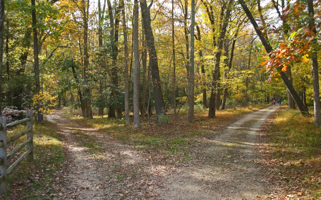 do-nothing-or-change