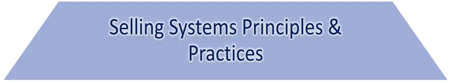 Your B2B Sales Force