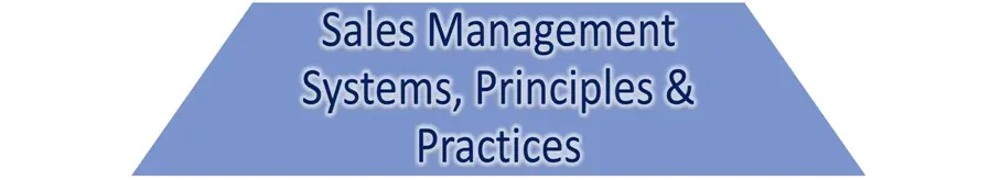 Your B2B Sales Force