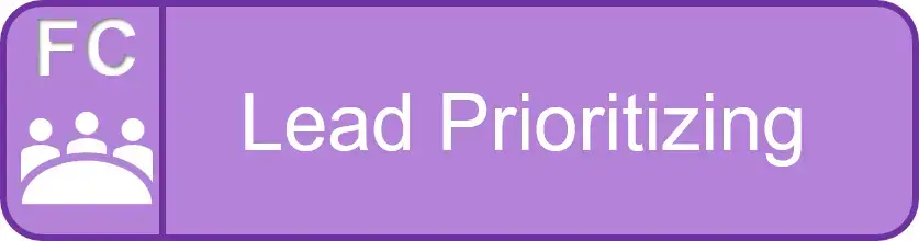 Lead Prioritizing:  A Menta-Morphosis Facilitator Competency